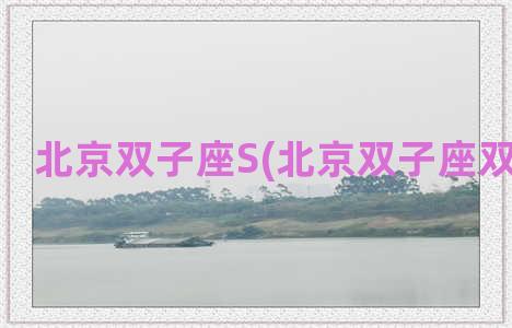 北京双子座S(北京双子座双s 珠珠s)